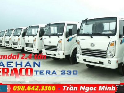 Xe tải hyundai 2.4 tấn Daehan Tera 230